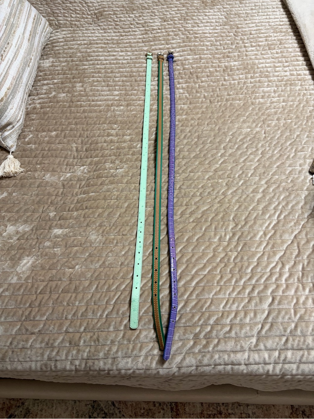 J. Crew Mint Green and Purple Skinny Leather Belts - Set of 3